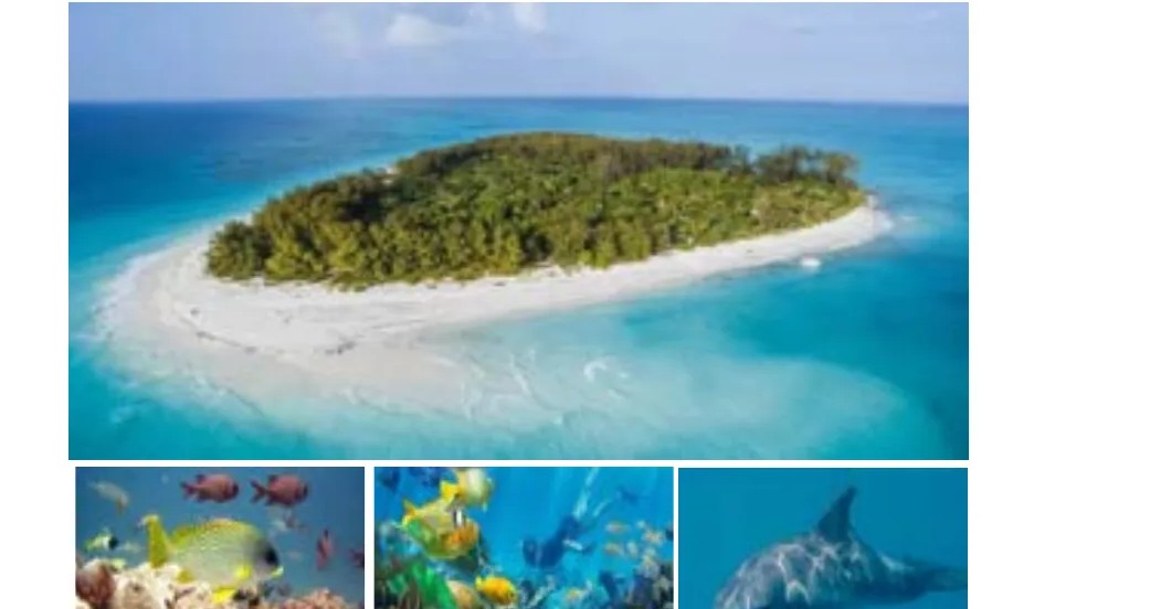 Mnemba island